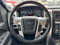 2014 Ford F-150 Platinum