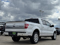 2014 Ford F-150 Platinum
